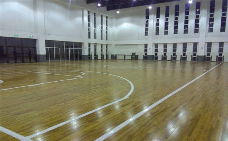 楓樺木體育館木地板圖片及價格