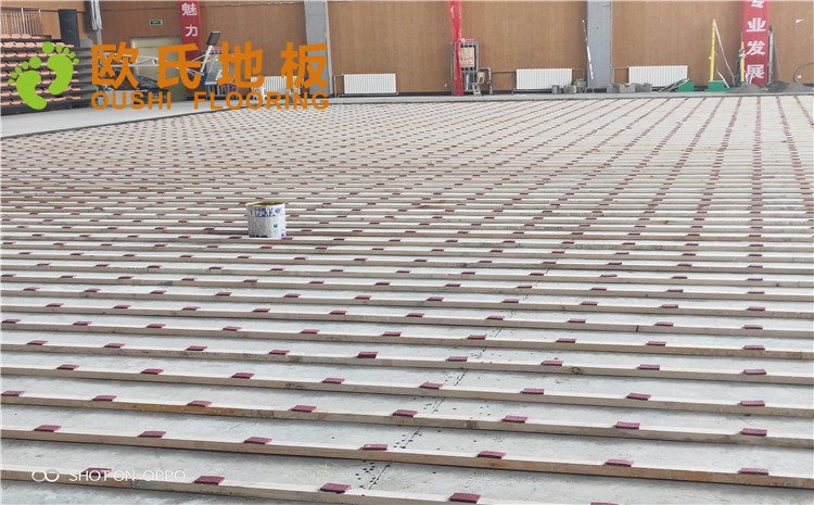 西寧市世紀(jì)職業(yè)技術(shù)學(xué)?；@球訓(xùn)練館木地板圖片