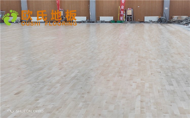 西寧市世紀(jì)職業(yè)技術(shù)學(xué)?；@球訓(xùn)練館木地板圖片