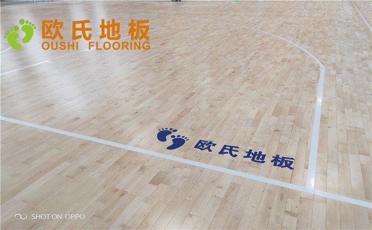 西寧市世紀(jì)職業(yè)技術(shù)學(xué)?；@球訓(xùn)練館木地板圖片